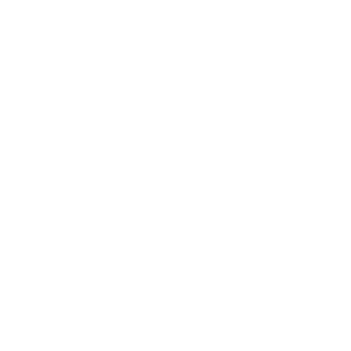 www icon